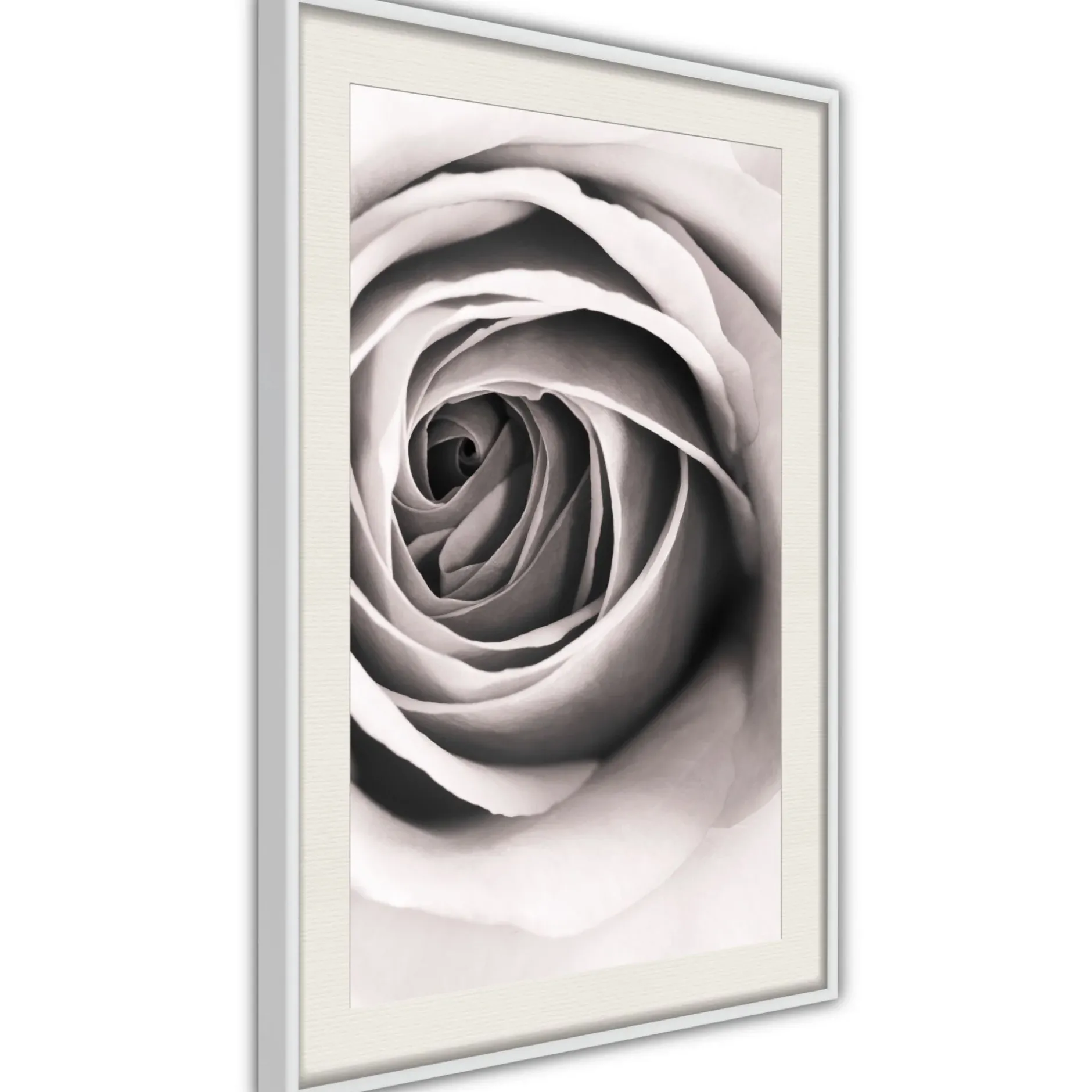 Poster 'Structure of Petals'