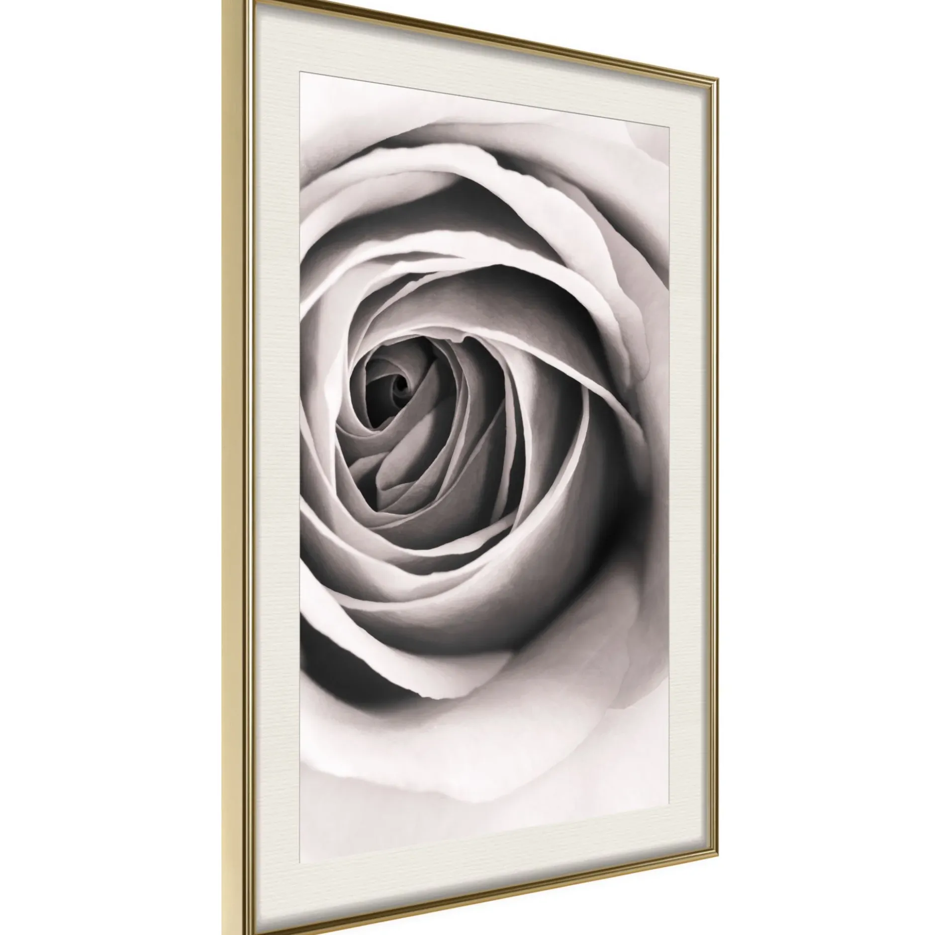 Poster 'Structure of Petals'