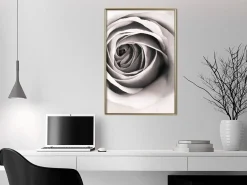 Poster 'Structure of Petals'