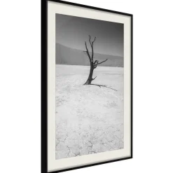 Poster 'Survivor'