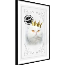 Poster 'The King Cat'