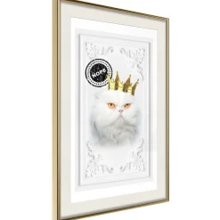 Poster 'The King Cat'