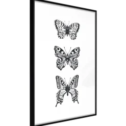 Poster 'Three Butterflies'