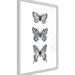 Poster 'Three Butterflies'