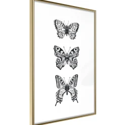 Poster 'Three Butterflies'