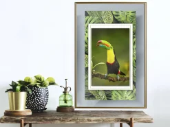 Poster 'Toucan in the Frame'