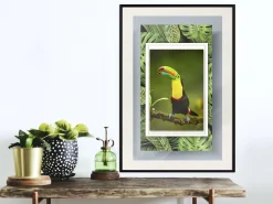 Poster 'Toucan in the Frame'