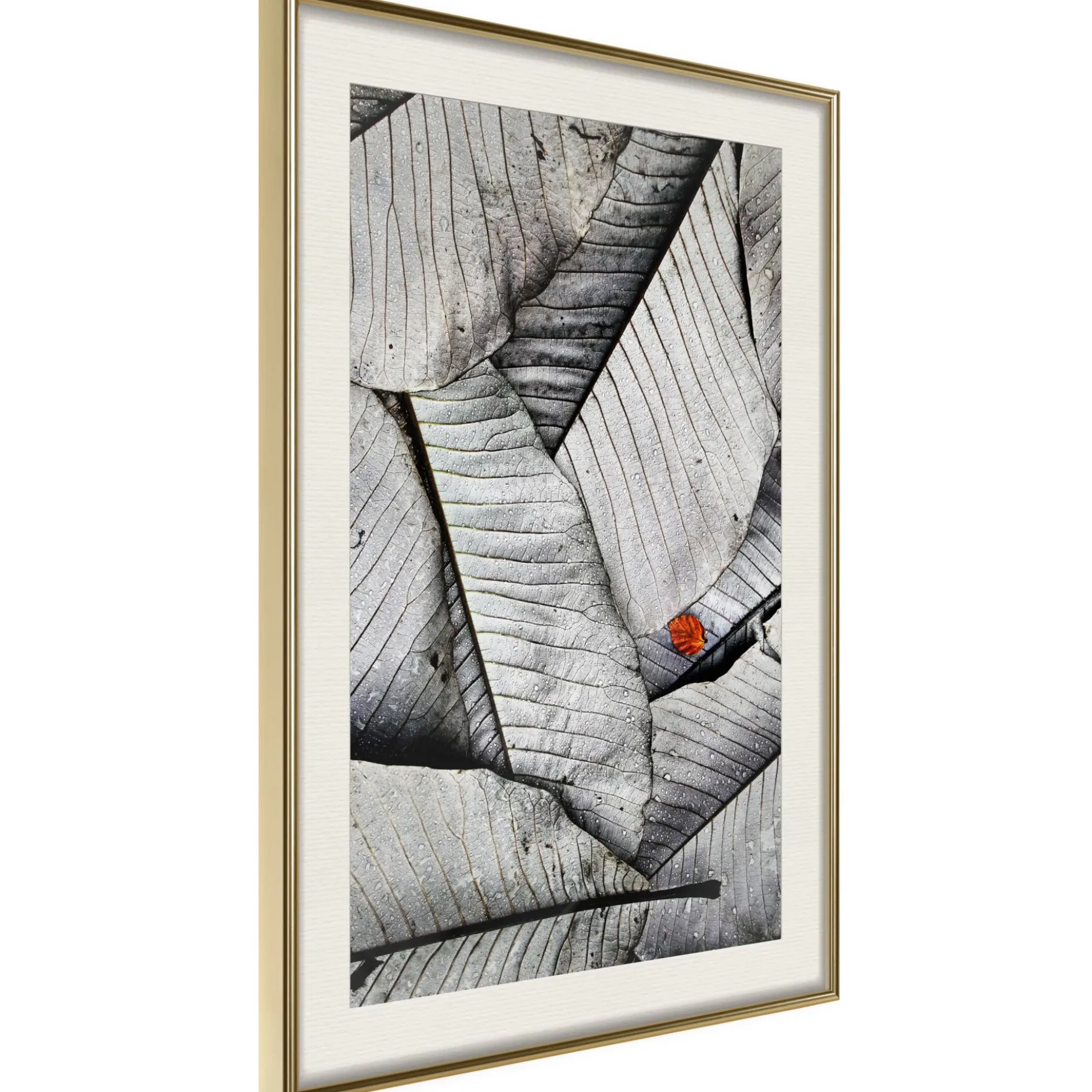 Poster 'Touch of Colour'