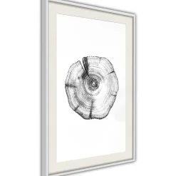 Poster 'Tree Rings'