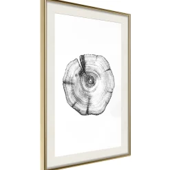 Poster 'Tree Rings'