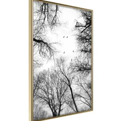 Poster 'Treetops'