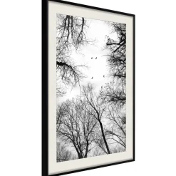 Poster 'Treetops'