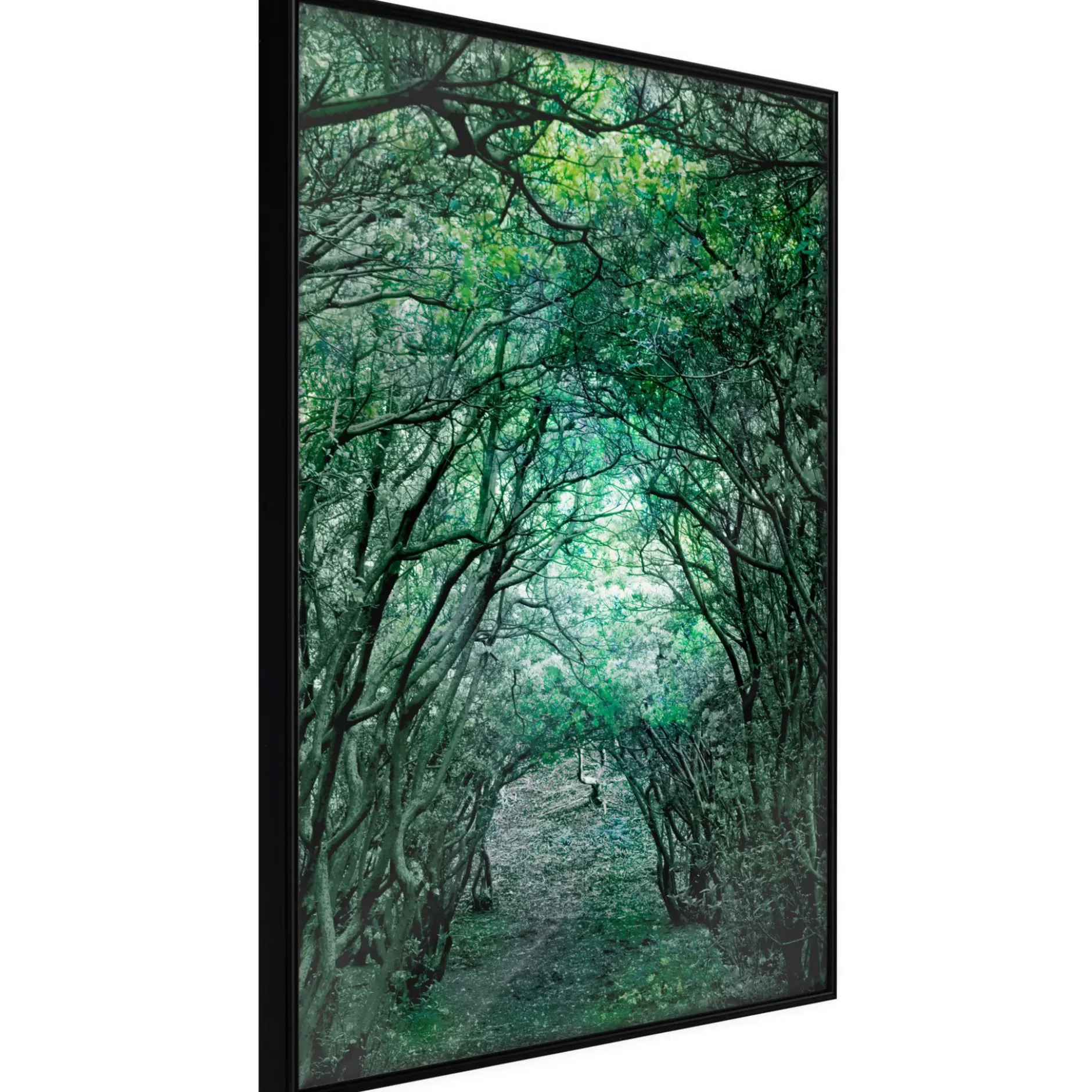 Poster 'Tree Tunnel'