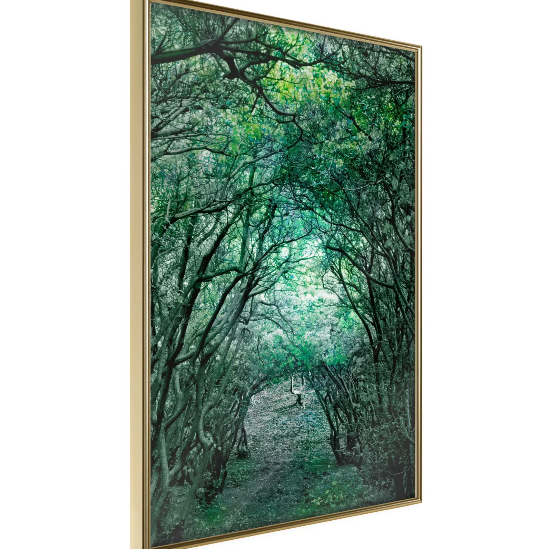 Poster 'Tree Tunnel'