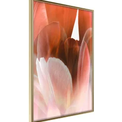 Poster 'Tulip Petals'
