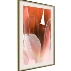 Poster 'Tulip Petals'