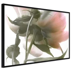 Poster 'Under the Flower'