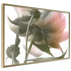 Poster 'Under the Flower'