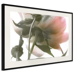Poster 'Under the Flower'