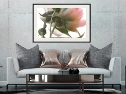 Poster 'Under the Flower'