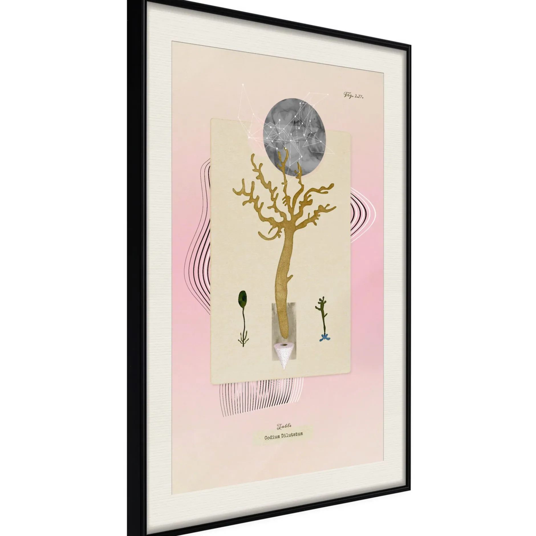 Poster 'Unusual Plant'