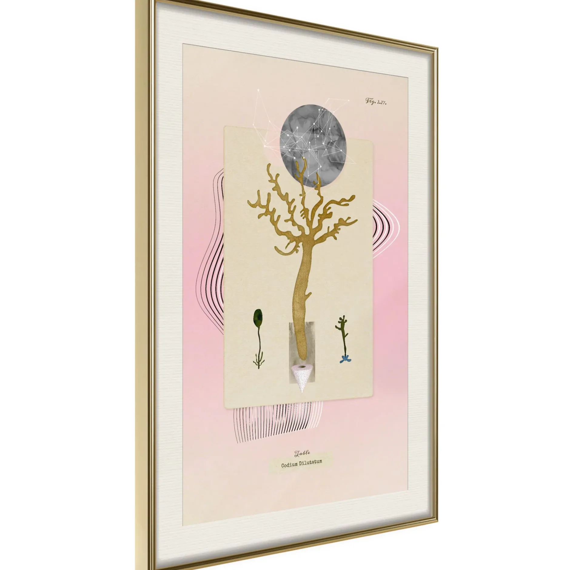 Poster 'Unusual Plant'
