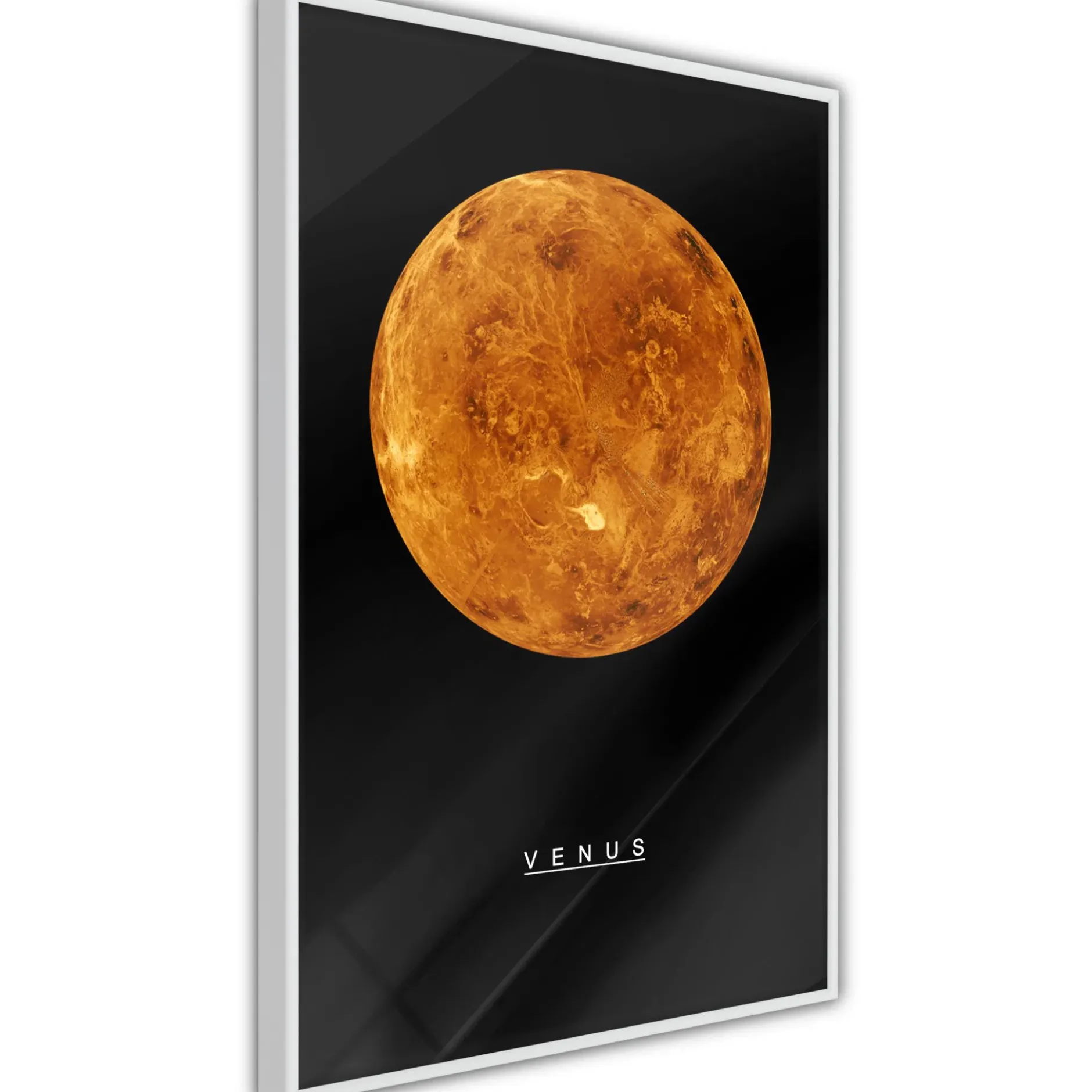 Poster 'Venus'