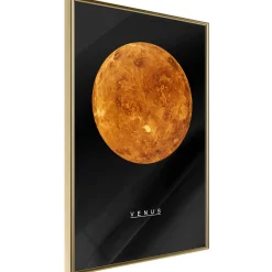 Poster 'Venus'