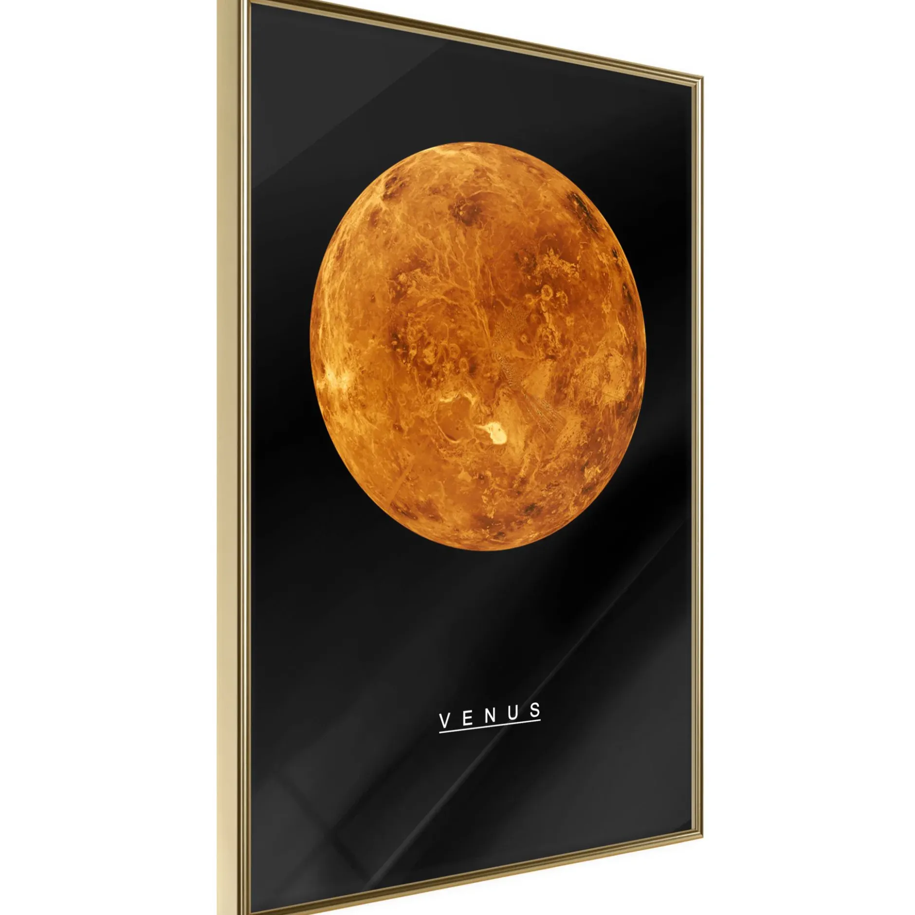 Poster 'Venus'