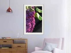 Poster 'Violet May'