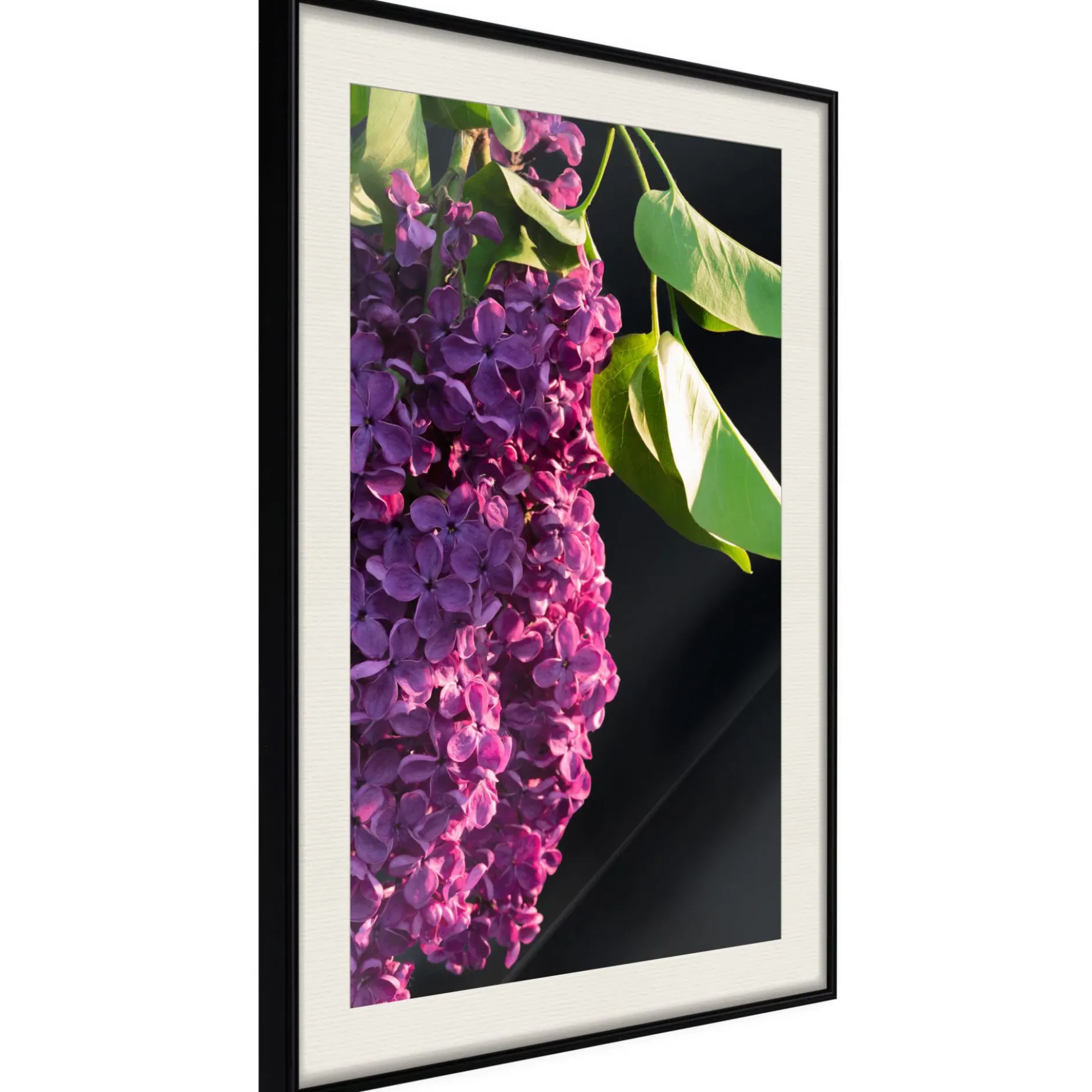 Poster 'Violet May'