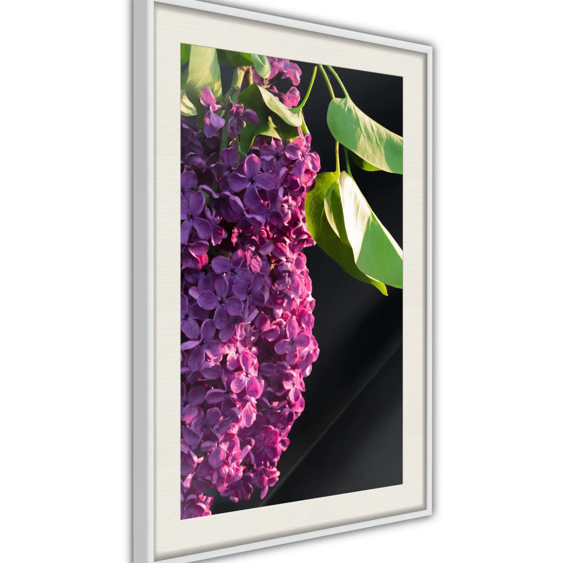 Poster 'Violet May'