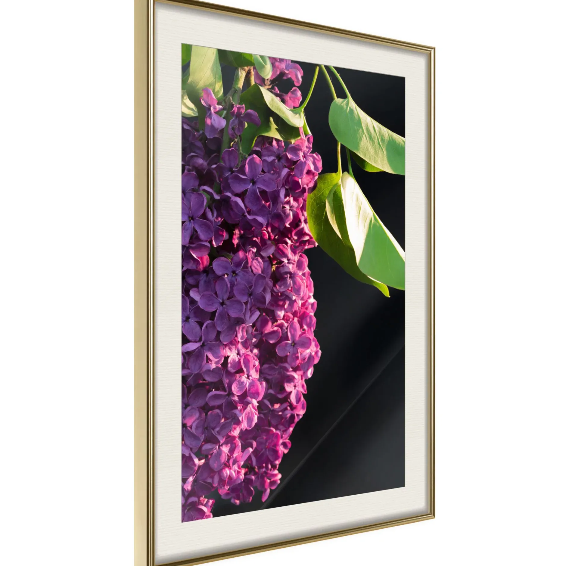 Poster 'Violet May'