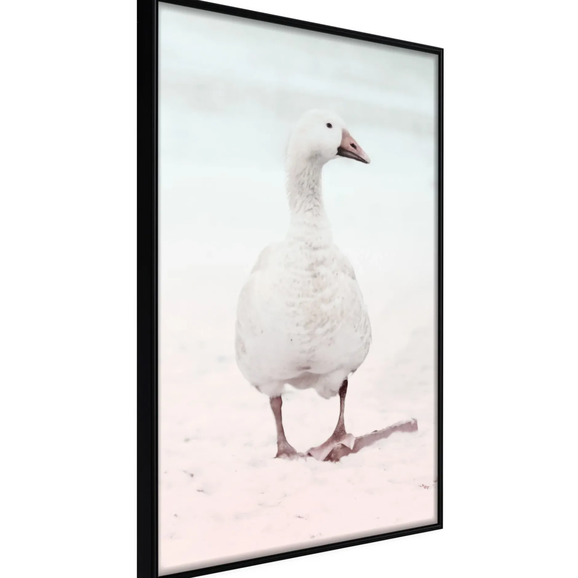 Poster 'Walking Goose'