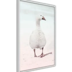 Poster 'Walking Goose'