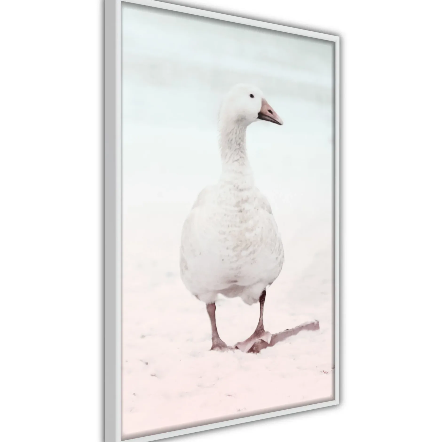 Poster 'Walking Goose'
