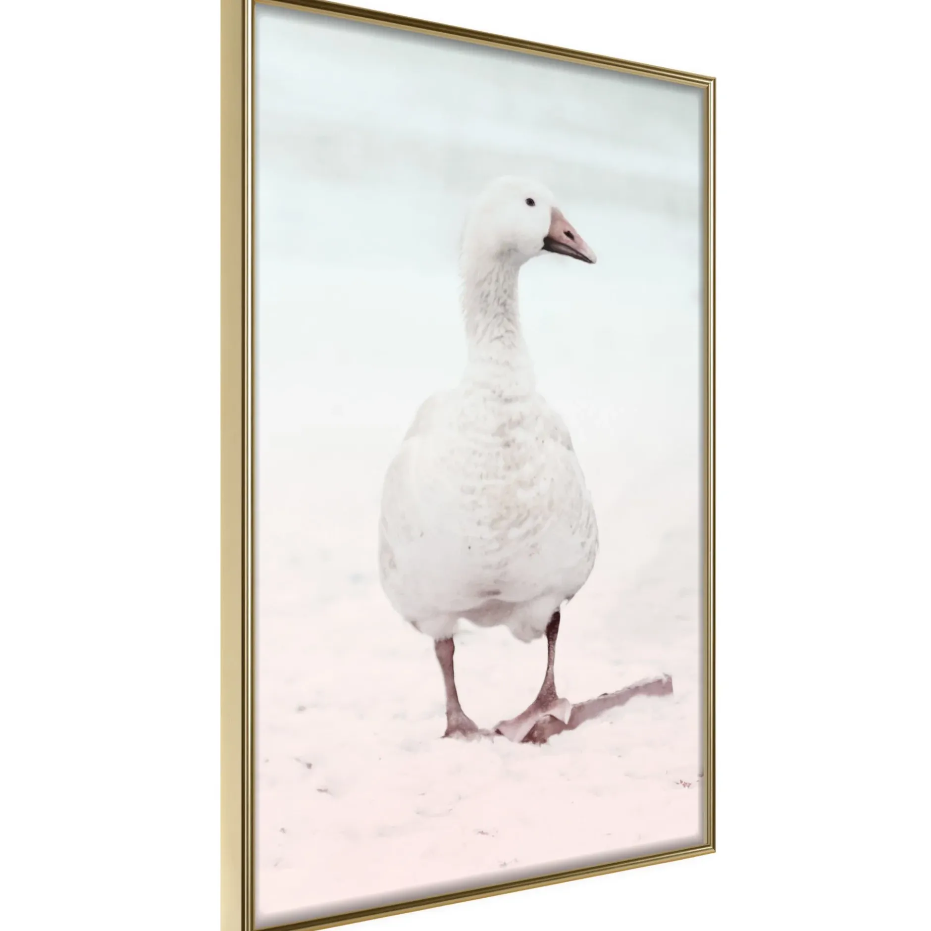 Poster 'Walking Goose'