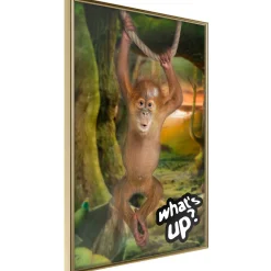 Poster 'What's Up?'