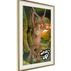 Poster 'What's Up?'