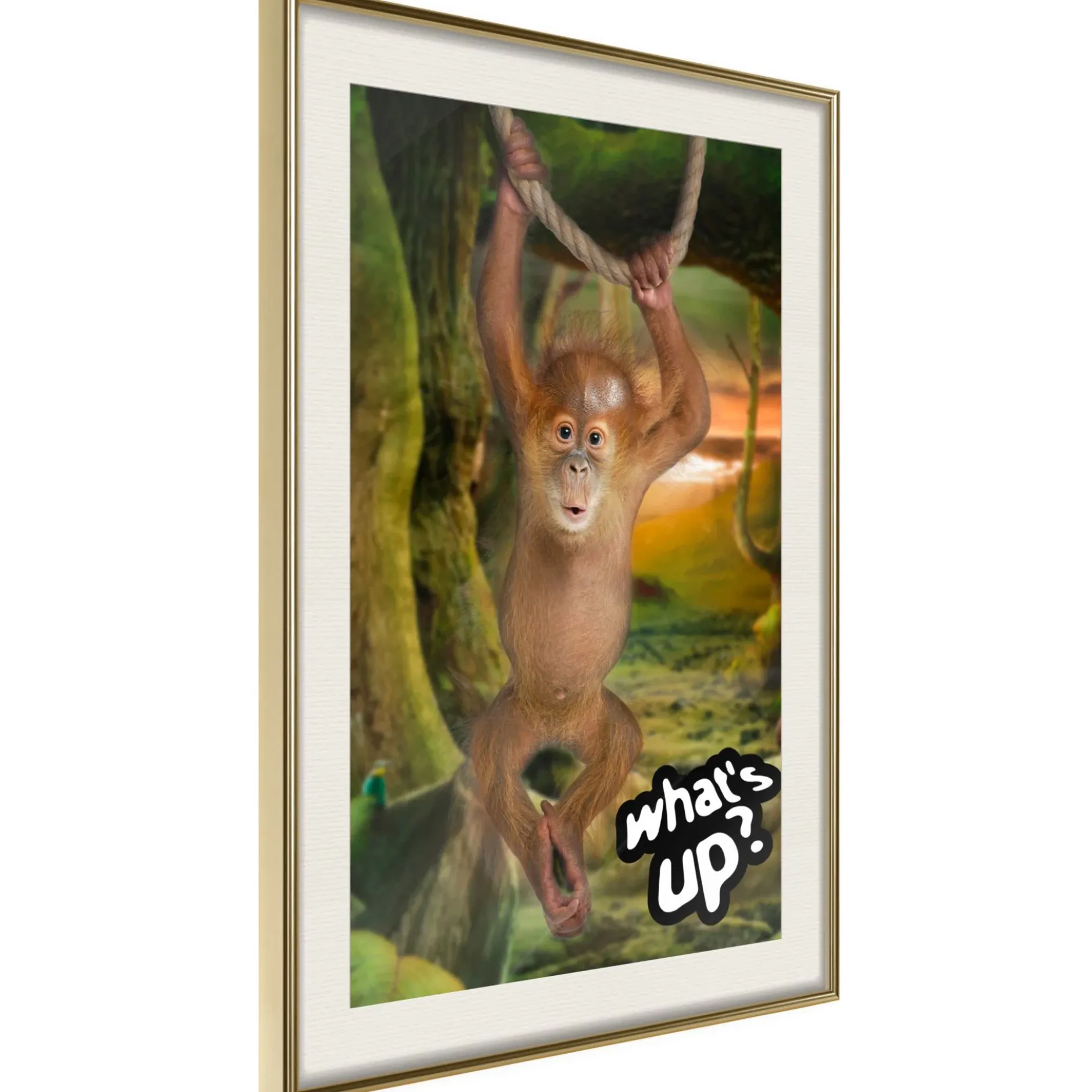 Poster 'What's Up?'