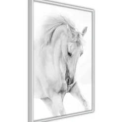 Poster 'White Horse'