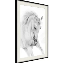 Poster 'White Horse'