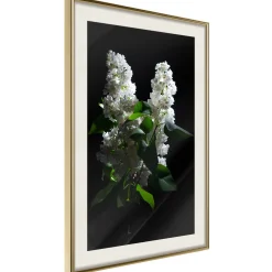 Poster 'White Lilac'