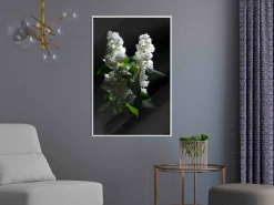 Poster 'White Lilac'