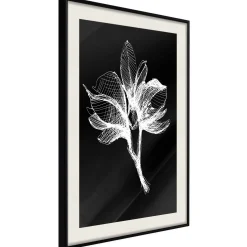 Poster 'White Plant'