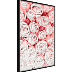 Poster 'White Rosaes'