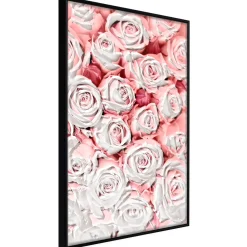 Poster 'White Rosaes'