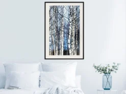 Poster 'Winter Birch Trees'