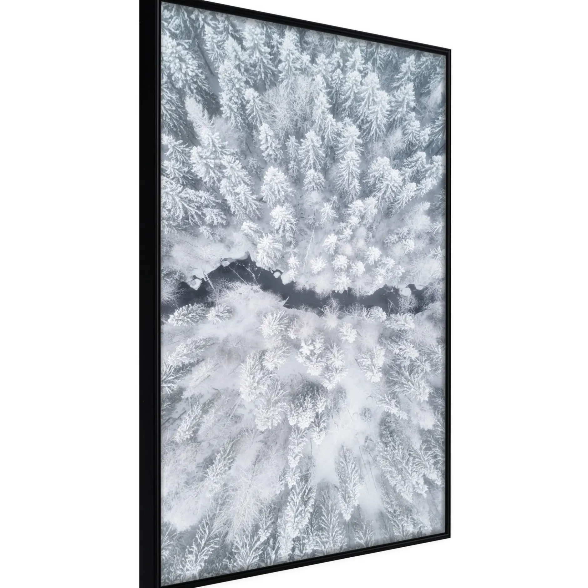 Poster 'Winter Forest From a Bird's Eye View'