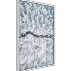 Poster 'Winter Forest From a Bird's Eye View'